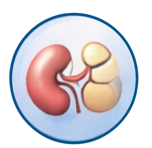 Progressive Kidney Damage